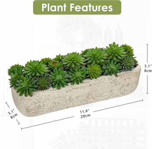 نباتات Arborus المزيفة العصارية في وعاء أسمنتي نباتات صناعية ترتيب عصاري صناعي داخلي لتزيين مكتب المنزل والمكتب والمزرعة in Saudi Arabia