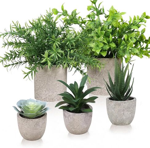 Memeaty Set of 5 Small Fake Plants Artificial Rosemary Peppermint Plants and Faux Succulents in Pot for Home Office Decoration, Artificial Plants Indoor for Table Shelf Decor in Kuwait
