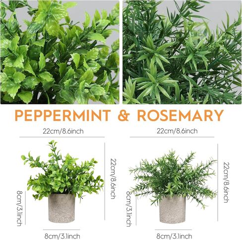 Memeaty Set of 5 Small Fake Plants Artificial Rosemary Peppermint Plants and Faux Succulents in Pot for Home Office Decoration, Artificial Plants Indoor for Table Shelf Decor in Kuwait