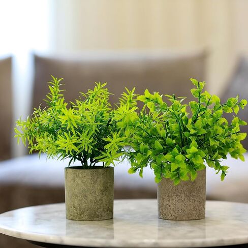 Memeaty Set of 5 Small Fake Plants Artificial Rosemary Peppermint Plants and Faux Succulents in Pot for Home Office Decoration, Artificial Plants Indoor for Table Shelf Decor in Kuwait