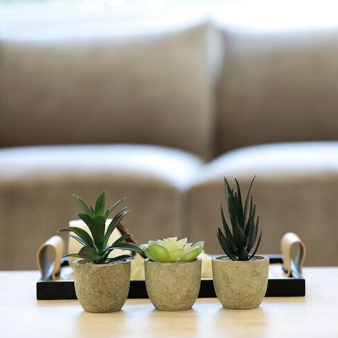 Memeaty Set of 5 Small Fake Plants Artificial Rosemary Peppermint Plants and Faux Succulents in Pot for Home Office Decoration, Artificial Plants Indoor for Table Shelf Decor in Kuwait