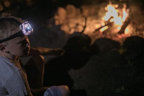 MISTIC COOL Raccoon LED Headlamp, Fun Head Flashlight with Elastic Headband Just for Kids with Cute Raccoon Design in Kuwait