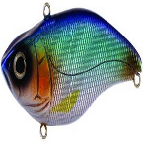 طقم الطعم جونيور Aruku Shad من 1