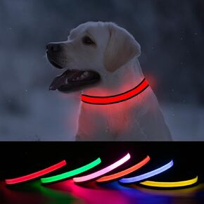 Lighted Dog Collar for Night Walking, Flashing Led Dog Collar, USB Rechargeable Glow Collars for Dogs, Adjustable Light Up Dog Collars (Red, Pack of 1, XS) in Kuwait
