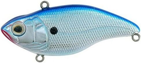 Spro Junior Aruku Shad Bait-Pack of 1 in Kuwait