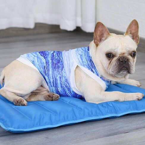 سترة تبريد للكلاب - تخفيف قلق الحيوانات الأليفة، قميص واقٍ من الشمس للكلاب ناعم، خفيف الوزن سترة للحيوانات الأليفة شبكية قابلة للتنفس، معطف تبريد للكلاب الصغيرة والمتوسطة والكبيرة والمشي والصيد والرياضة في الهواء الطلق والمشي لمسافات طويلة في الصيف in Kuwait