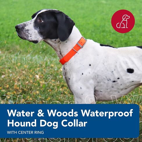 Water & Woods Waterproof Hound Dog Collar with Center Ring by Coastal Pet - Durable Dog Collar - Odor Resistant - Easy Self Untangling - Orange, Medium - 1" x 22" in Saudi Arabia