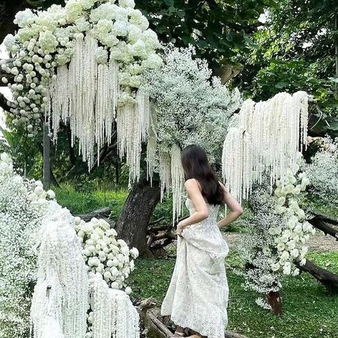 45 فرعًا من زهور القطيفة المبيضة الاصطناعية من Glicrili - زهور معلقة من كرمة الوستارية البيضاء المزيفة لباقة الزفاف، وتزيين حائط الحفلات، وديكور المنزل بطول إكليل in Kuwait