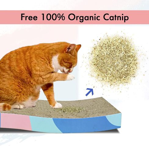 Cat Scratcher Cardboard Reversible Cat Scratch Pad 3PCS with Box Cat Scratching House for Indoor Cats by WDTKPTXL in Kuwait