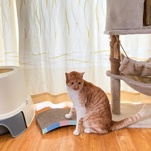 Cat Scratcher Cardboard Reversible Cat Scratch Pad 3PCS with Box Cat Scratching House for Indoor Cats by WDTKPTXL in Kuwait