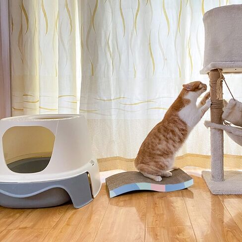Cat Scratcher Cardboard Reversible Cat Scratch Pad 3PCS with Box Cat Scratching House for Indoor Cats by WDTKPTXL in Kuwait