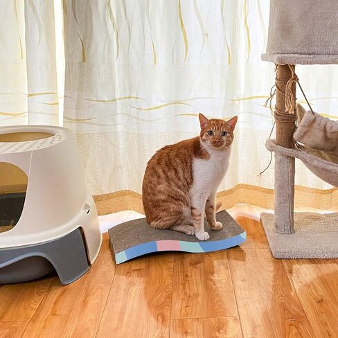 Cat Scratcher Cardboard Reversible Cat Scratch Pad 3PCS with Box Cat Scratching House for Indoor Cats by WDTKPTXL in Kuwait