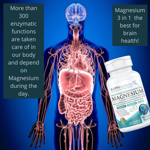 (150 Capsules), 2,253mg Per Serving, Providing 420mg Elemental Magnesium, L-Threonate, Bisglycinate Chelate, Malate, for Brain, Sleep, Stress, Cramps, Headaches, Energy, Heart from Kappa Nutrition. in Kuwait