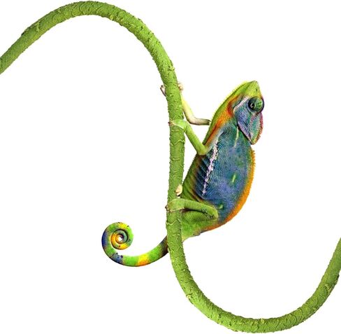 Helidrago Hermit Crab Supplies Climbing Toys, Reptile Climbing Decor Vine, Bendable Bearded Dragon Accessories for Climbing 32 Inches in Kuwait