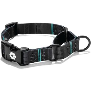 Wolfgang Heavy Duty Martingale Dog Collar with Quick Release Nylon Buckle for Walking & Training, NewMoon Print, Medium