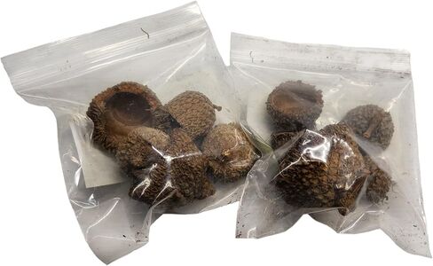 جوتشز فروجز اغطية بلوط ابيض (تتضمن 5 اغطية) in Kuwait