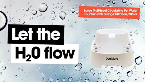 نافورة مياه عذبة كبيرة للكلاب والقطط من دوج ميت in Kuwait