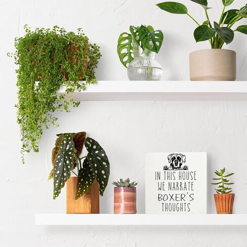 Qvapt Corgi Wooden Box Sign - Corgi Gifts for Women Corgi Owners, Corgi Desk Sign 5x5, Corgi Decor, Dog Decor for Home, Corgi's Thoughts in Kuwait