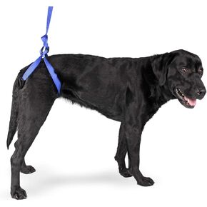 Up-n-Go Rear Support Lifting Harness for Dogs | Helps Dogs with Arthritis, Weakness, Joint Injuries Rehab | Adjustable Straps in Kuwait