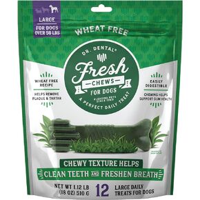 Dr. Dental Large Fresh Chews Dental Dog Treats Clear, Large-18 OZ in Saudi Arabia