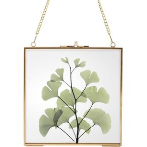 إطارات زهور مربعة مضغوطة عالية الجودة، إطار ذهبي عائم معلق مع سلسلة للضغط على صورة عمل فني لعينة النبات، ديكور حائط DIY (6.3 × 6.3 بوصة) in Kuwait