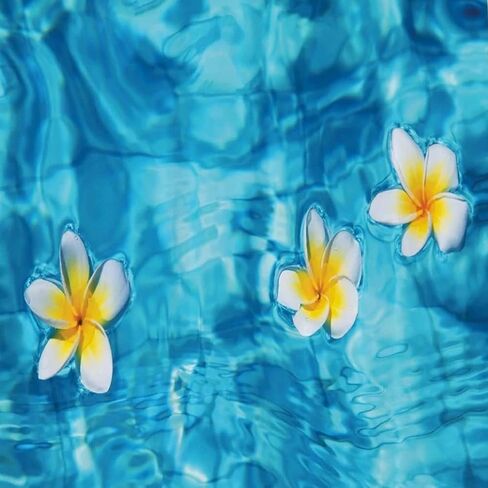 CNFZLIYUER زهرة بلوميريا الاصطناعية، 10 قطع من بتلات الزهور الاصطناعية هاواي البيضاء قطعة مركزية من الزهور العائمة لحمام السباحة، وقبعة الشعر الأزهار للحرف اليدوية المنزلية وحفلات الزفاف على الشاطئ in Kuwait