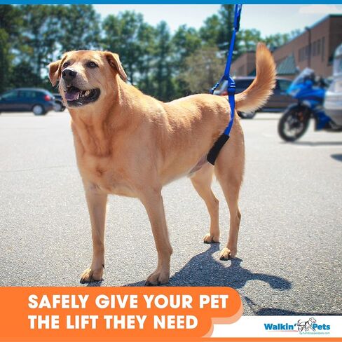 Up-n-Go Rear Support Lifting Harness for Dogs | Helps Dogs with Arthritis, Weakness, Joint Injuries Rehab | Adjustable Straps in Kuwait