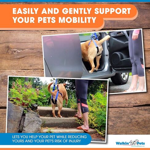 Up-n-Go Rear Support Lifting Harness for Dogs | Helps Dogs with Arthritis, Weakness, Joint Injuries Rehab | Adjustable Straps in Kuwait