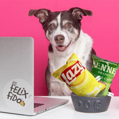 Felix & Fido Potato Chip Bag Funny Dog Toys - Fun Plush Squeaker Food Toy for Small & Medium Dogs-Fetch Anti Anxiety Interactive Squeaky Chew-Large Plush Stuffing Puppy Enrichment Gifts - Lazy Doggies in Saudi Arabia