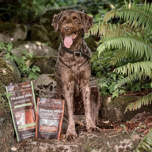 برايري دوج CSWPR16 منتجات الحيوانات الأليفة، دجاج الريف والبطاطا الحلوة، نقانق تكساس، 16 أونصة in Kuwait