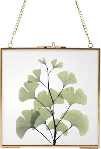 إطارات زهور مربعة مضغوطة عالية الجودة، إطار ذهبي عائم معلق مع سلسلة للضغط على صورة عمل فني لعينة النبات، ديكور حائط DIY (6.3 × 6.3 بوصة) in Kuwait