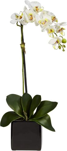 Nearly Natural 20in. Orchid Artificial Arrangement in Black Planter, White in Kuwait