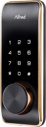 Alfred Touchscreen Keypad Pin + Key Entry Smart Door Lock Combo with Wi-Fi Connect Bridge & Key (DB2W-B-GL) in Saudi Arabia