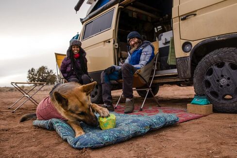 Ruffwear، لعبة Gnawt-a-Rock المتينة للكلاب، حمام سباحة أزرق in Saudi Arabia
