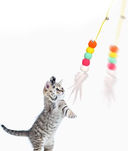 العاب قطط من الريش، العاب للقطط في الاماكن المغلقة، عصا لعبة للقطط، العاب تفاعلية مثيرة للاهتمام (مجموعة من قطعتين) in Kuwait