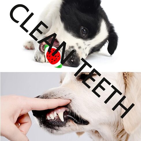 LASOCUHOO Squeaky Dog Toys for Small Medium Dog, Durable Puppy Teething Toys, Plush Dog Toy with Squeakers, Chew Toys for Puppies - 10PCS in Kuwait