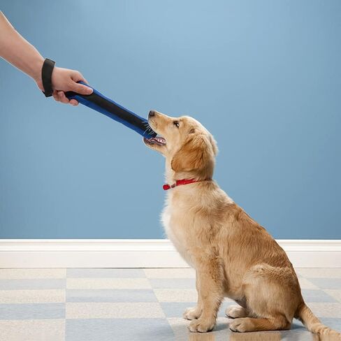 LASOCUHOO Squeaky Dog Toys for Small Medium Dog, Durable Puppy Teething Toys, Plush Dog Toy with Squeakers, Chew Toys for Puppies - 10PCS in Kuwait