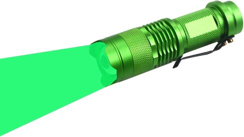 (Pack of 5 Multicolored 3-Mode Flashlight: Red, Green, Blue, 395 UV, White LED Light Flashlight in Saudi Arabia