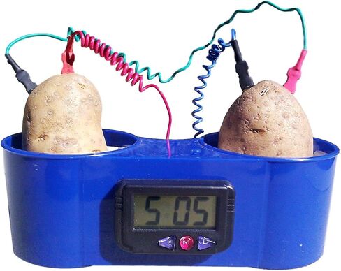 ساعة بطاطا من باكسي in Kuwait