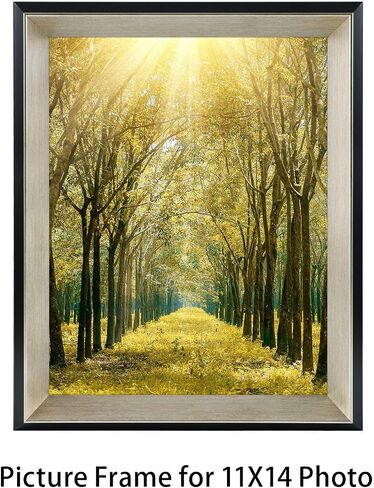 Space Art Deco, 11x14 Collage Picture Frame with 5 Opening Mat for 4x6 Photos Displays or 11x14 Poster Frame Without Mat, Shatter Resistant Glass Wall Mounting(Silver/Black, 1-Pack) in Saudi Arabia