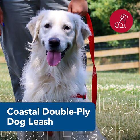 Dog Supplies 2904 Double Lead 1",Red in Saudi Arabia