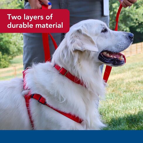Dog Supplies 2904 Double Lead 1",Red in Saudi Arabia