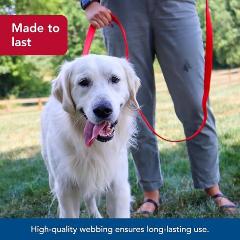 Dog Supplies 2904 Double Lead 1",Red in Saudi Arabia