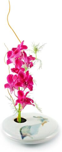 جورج تاون بوتري مزهرية زهور ايكيبانا دائرية صغيرة، لون عاجي مموج in Kuwait