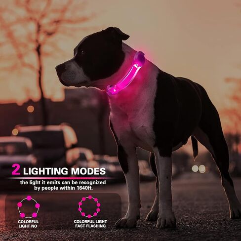 2 Pack LED Light for Dog Leash Harness, Light Up Dog Collar with Nylon Stickers, Waterproof Glow Light Easy to Attach to Collar Leash and Harness, Safety LED Light Up Band for Dogs at Night Walking in Kuwait