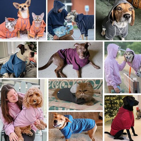Blueberry Pet Essentials 2023 New Soft & Comfy Better Basic Cotton Blend Dog Hoodie Sweatshirt in Coral, Back Length 20", Pack of 1 Jacket for Dogs in Saudi Arabia