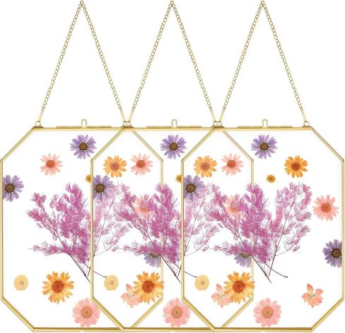 3 Pieces Hanging Gold Glass Floating Frame 8 x 10 Inch Octagon Brass Herbarium Glass Frame Double Clear Pressed Flower Frames for Plant Specimen Artwork Display Photo Dried Flowers Home DIY Decor in Saudi Arabia