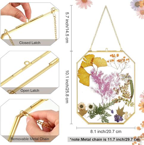 3 Pieces Hanging Gold Glass Floating Frame 8 x 10 Inch Octagon Brass Herbarium Glass Frame Double Clear Pressed Flower Frames for Plant Specimen Artwork Display Photo Dried Flowers Home DIY Decor in Saudi Arabia