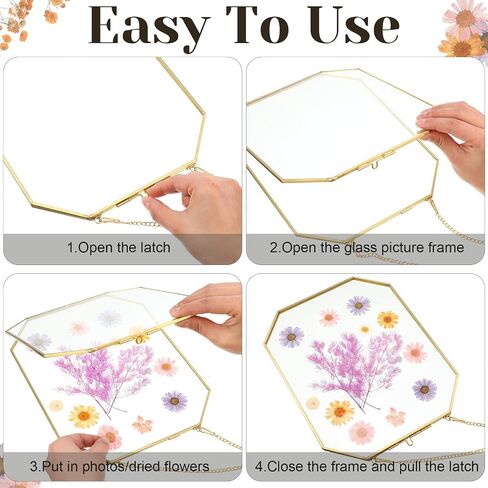 3 Pieces Hanging Gold Glass Floating Frame 8 x 10 Inch Octagon Brass Herbarium Glass Frame Double Clear Pressed Flower Frames for Plant Specimen Artwork Display Photo Dried Flowers Home DIY Decor in Saudi Arabia