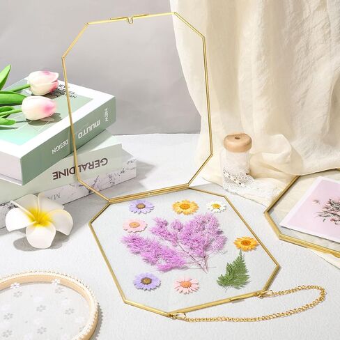 3 Pieces Hanging Gold Glass Floating Frame 8 x 10 Inch Octagon Brass Herbarium Glass Frame Double Clear Pressed Flower Frames for Plant Specimen Artwork Display Photo Dried Flowers Home DIY Decor in Saudi Arabia
